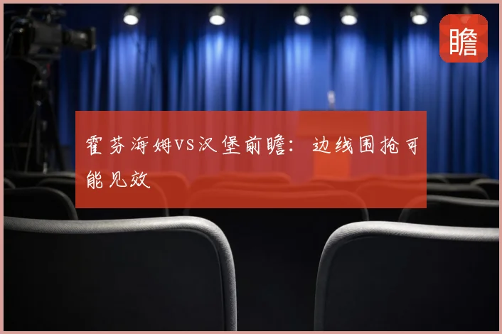 霍芬海姆vs汉堡前瞻：边线围抢可能见效