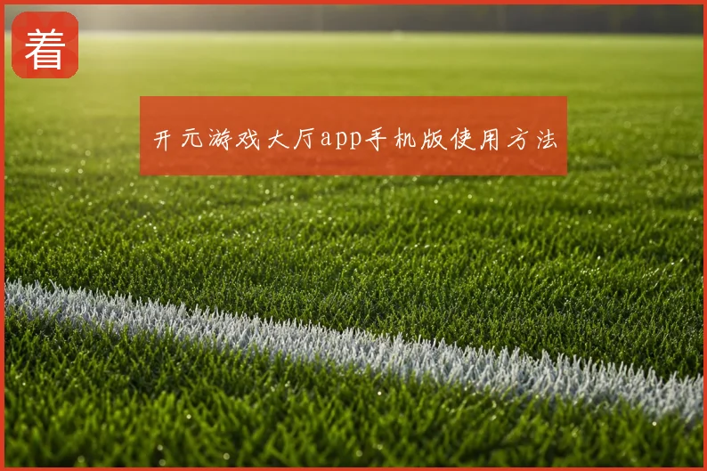 开元游戏大厅app手机版使用方法